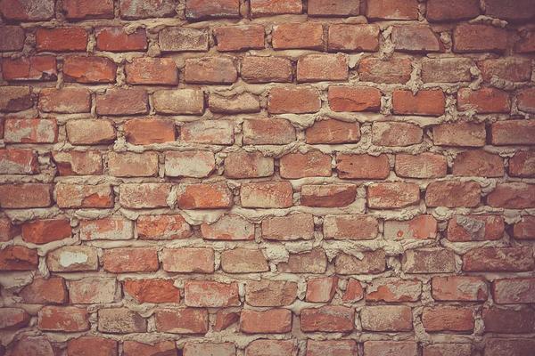 The Power of Mentorship: Accelerating Your Career Growth